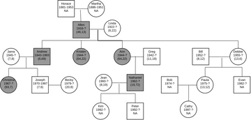 Pedigree Chart | Visual Paradigm Community